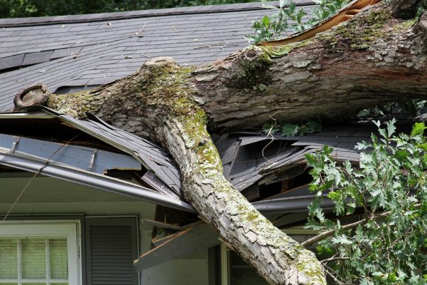 Storm Remediation in Harrisburg