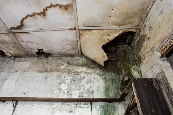 Water Damage Service in Harrisburg