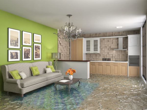 Wet Carpet Drying in Harrisburg