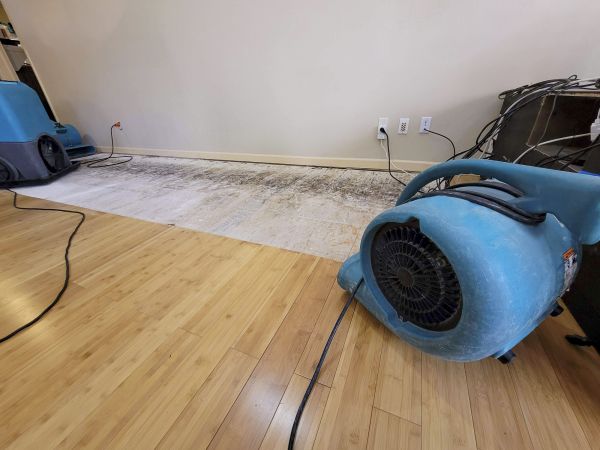 Water Damage Mitigation in Harrisburg